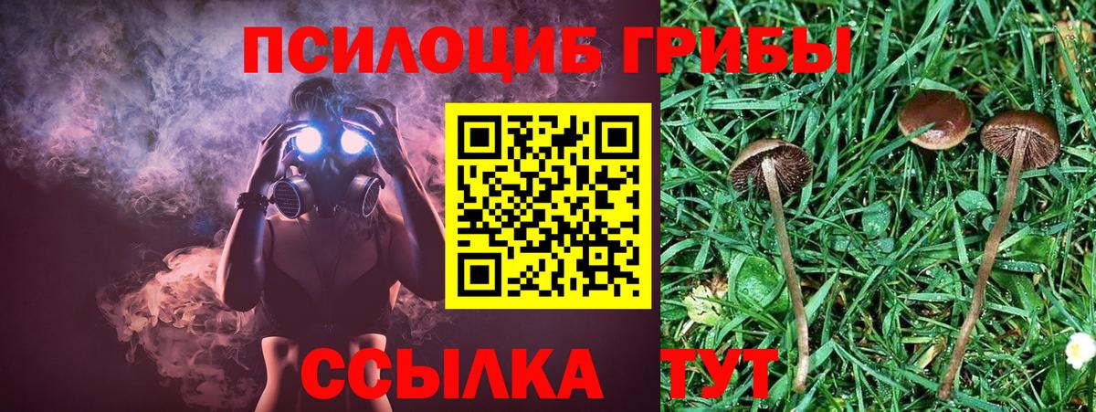 Галлюциногенные грибы GOLDEN TEACHER  Вход с VPN  Гудермес  где найти наркотики  Псилоцибиновые грибы ЛСД 