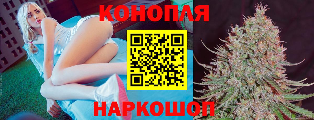 Бошки Шишки ГИДРОПОН  Вход с VPN  Каннабис OG Kush  Конопля семена  Бошки Шишки гибрид  Гудермес 